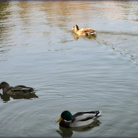 Meridian-apartman, Stary Smokovec, Primo, Vysoké Tatry